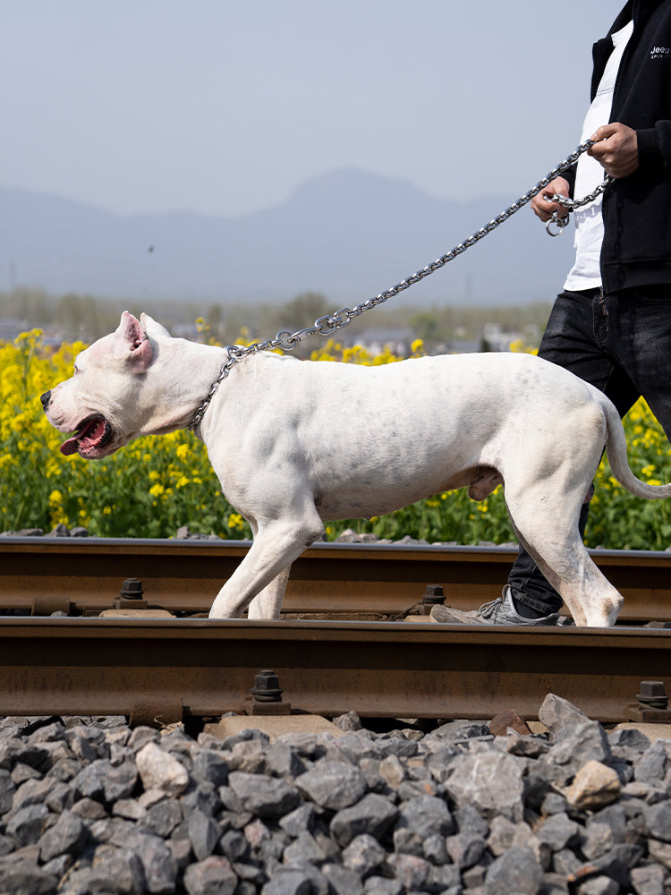 The RIVET // Classic Link Training Collar