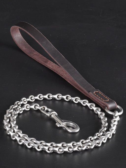 The DRACO // Dragon Bone Leash