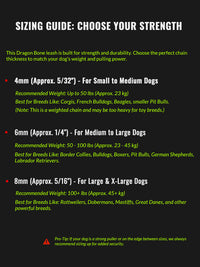 The RIVET // Classic Link Leash